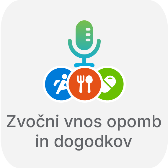 Ikona_Zvočni vnos